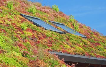 Aylestone living roof systems